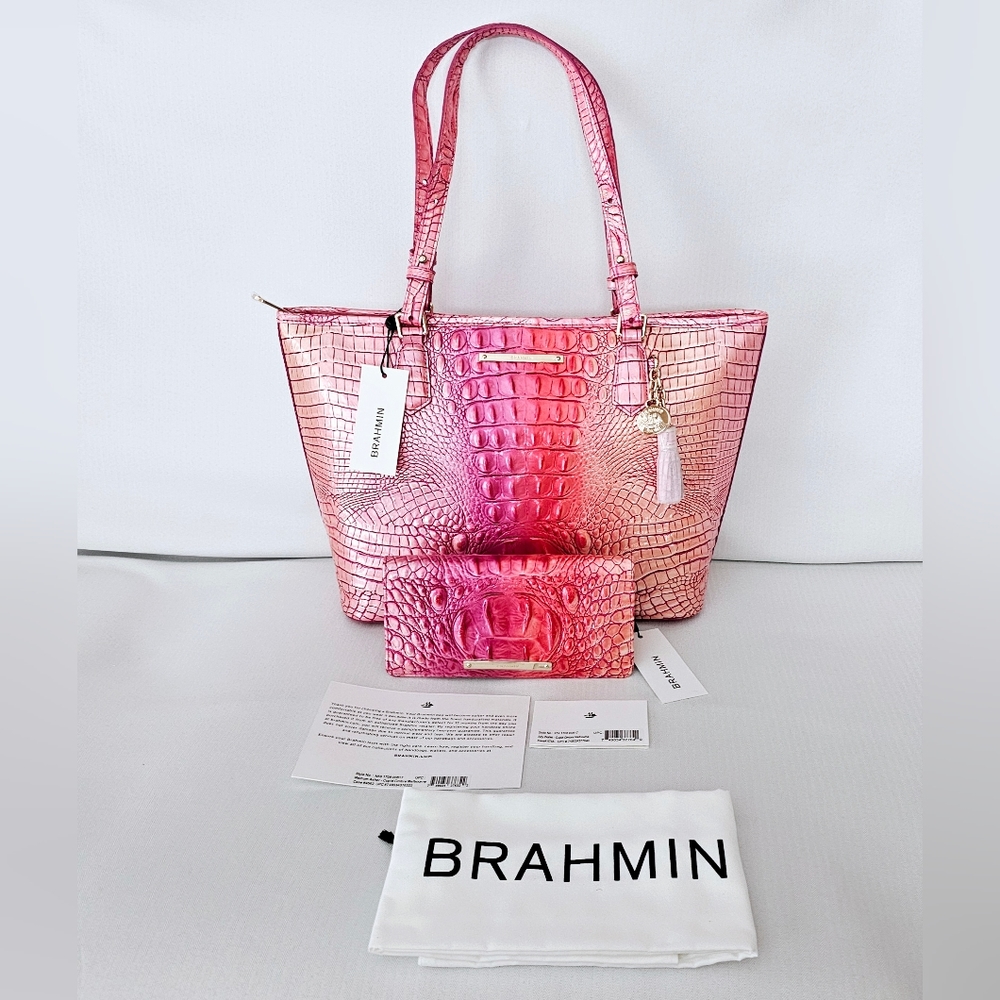 NWT Brahmin Cupid Ombre Medium Asher w/Ady Wallet